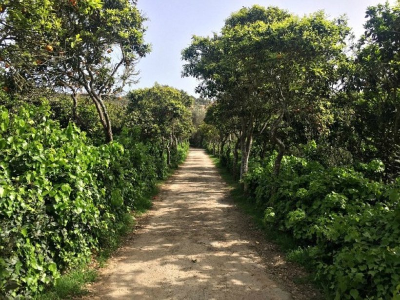 Hiking Trails in Malta - Girgenti