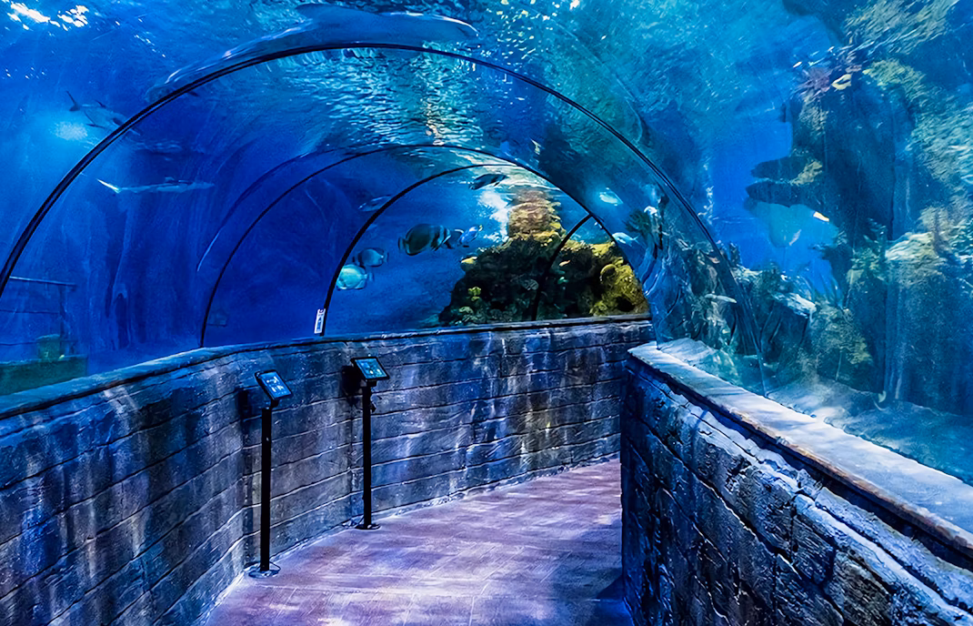 Things to do in Malta - Aquarium